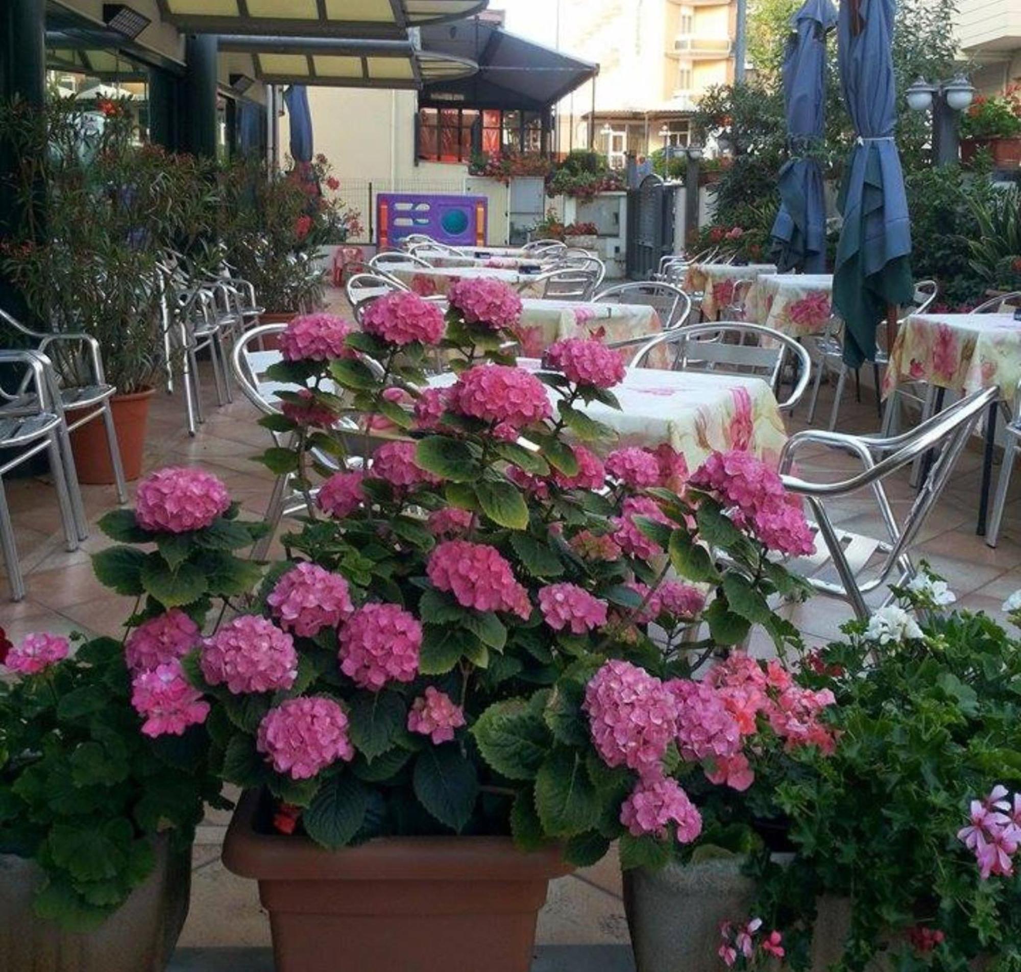 Hotel Caruso 里米尼 外观 照片